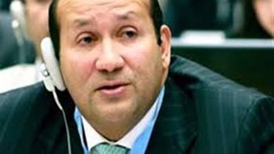 هشام بدر : وفد إيطالي من 24 شركة تجارية يزور مصر لبحث فرص الاستثمار