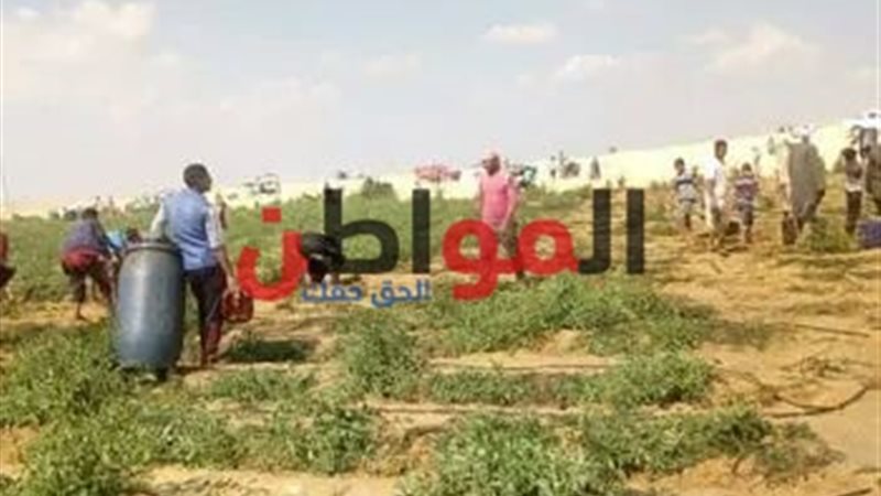 كسر خطوط البترول