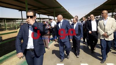 وزير التنمية المحلية يتفقد مزرعة الإنتاج الحيواني أكبر مشروعات مدينة الخارجة