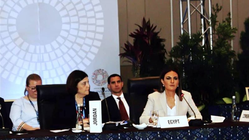 وزيرة الاستثمار