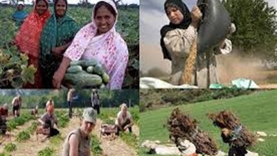 15 أكتوبر البشرية تحتفل بـ