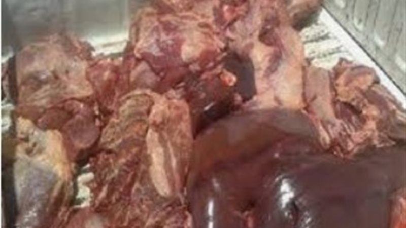  كبدة مجهولة المصدر