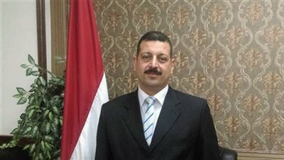 الكهرباء: محطة الضبعة النووية ستكون على مستوى عالمي