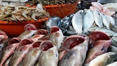 أسعار الأسماك فى الأسواق الأربعاء 17 أكتوبر 2018