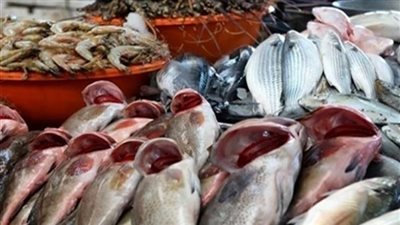 أسعار الأسماك فى الأسواق الخميس  18 أكتوبر 2018