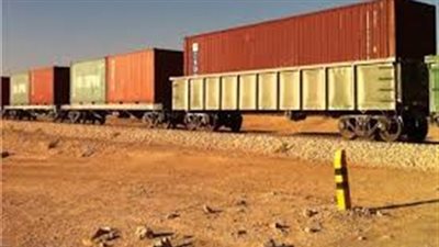 خلال الـ 24 ساعة الماضية .. اعرف حركة قطارات البضائع العامة بميناء دمياط 