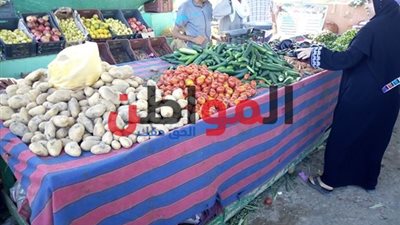أسعار الخضراوات والفاكهة في أسواق الغربية.. والبطاطس بـ 12 جنيه