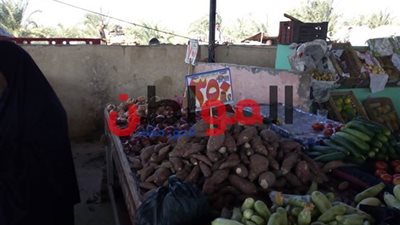 تعرف على أسعار الخضار والفاكهة بأسواق كفر الشيخ اليوم الجمعة