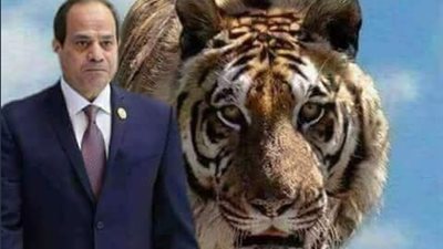  بعد عودته من روسيا .. تويتر يمطر برسائل الحب للرئيس السيسي 