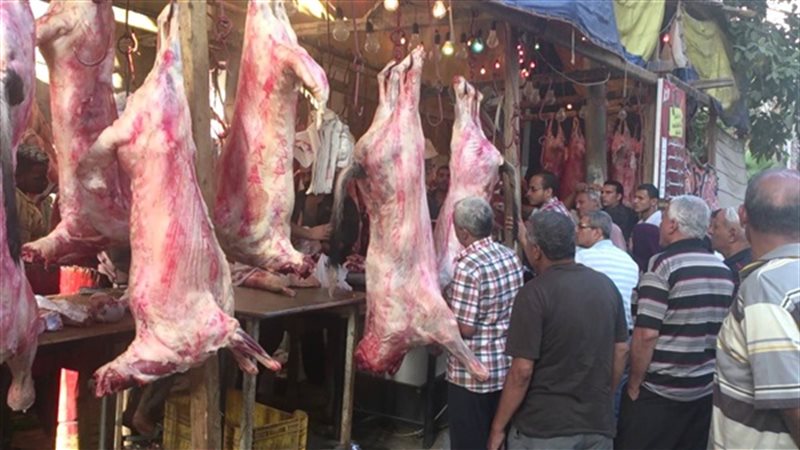 الخدمات البيطرية