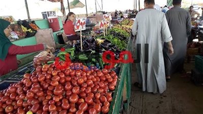أسعار الخضار والفاكهة بالغربية تكوي جيوب المواطنين.. والبطاطس بـ14 جنيه