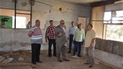 محافظ الوادي الجديد: تسهيل الإجراءات القانونية لتربية الدواجن والأرانب