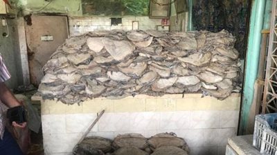 ضبط 54 قضية تغذية غير صالحة للاستخدام الآدامي 