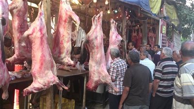 بيطري الشرقية: ضبط 71 كيلو جرام لحوم فاسدة في تفتيشية مكبرة