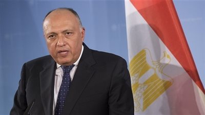 هذا هو محتوى رسالة الرئيس السيسي  للملك سلمان