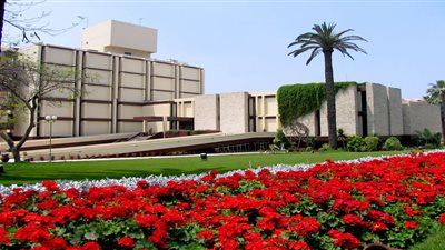 مركز أمراض الكلى بالمنصورة يعلن عن حاجته لمهندسين