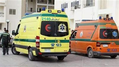 بالأسماء.. مصرع شخصين في انقلاب سيارة نقل شرق العوينات