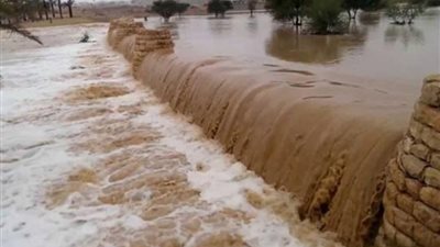 بالأرقام.. حصيلة ضحايا سيول البحر الميت 