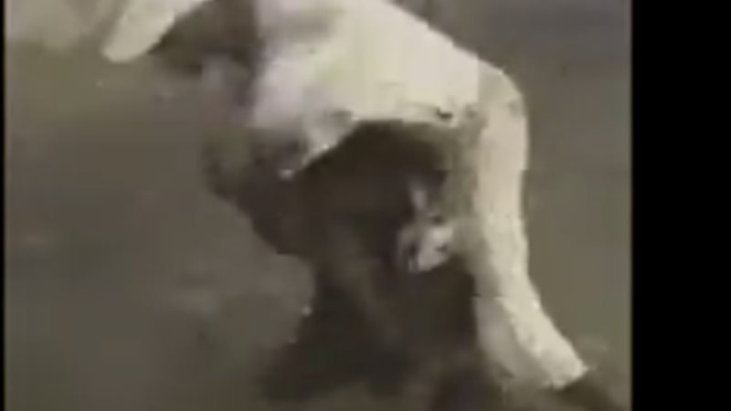  امرأة تضرب رجل 