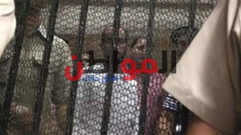محاكمة محمود نظمي-قتل