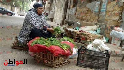حكايات مصر الحلوة الشقيانة.. نساء في طابور لقمة العيش يعزفن على أوتار الكفاح 