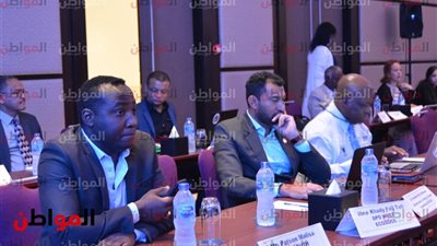 صور.. المواطنين والمغتربين الأفارقة تختتم اجتماعاتها القطاعية بالقاهرة اليوم
