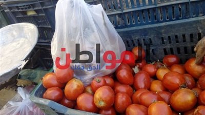 فيديو.. انخفاض أسعار البطاطس و الطماطم في أسواق سوهاج