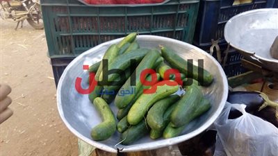 الخيار بـ 5 جنيهات.. ننشر أسعار الخضراوات اليوم بالفيوم