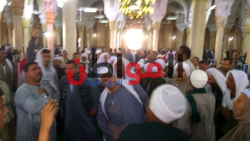 مولد ابراهيم الدسوقي