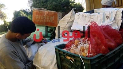 تعرف علي أسعار البطاطس في أسواق البحيرة اليوم السبت