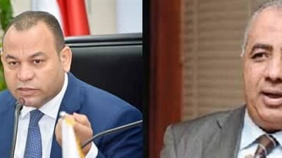  المجلس الأعلي لتنظيم الإعلام يشارك في منتدي إعلام مصر غدًا 
