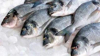 عقب انخفاض أسعار البطاطس.. تعرف على أسعار الأسماك واللحوم بأسواق بني سويف