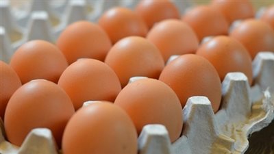 أسعار البيض اليوم الأحد 28 أكتوبر 2018
