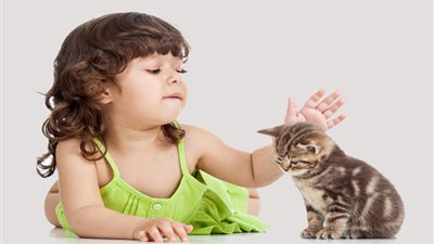 إنفوجراف| 5 محاذير في علاقة ابنك مع القطة