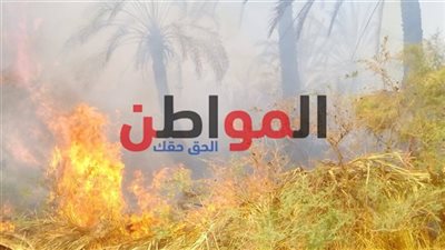 السيطرة على حريق بمزارع عين البرج في واحة الخارجة 