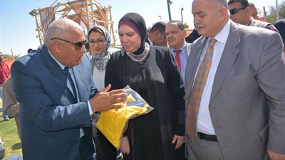 نيفين جامع: ضخ 80 مليون جنيه لدعم المشروعات الصغيرة بالوادي الجديد
