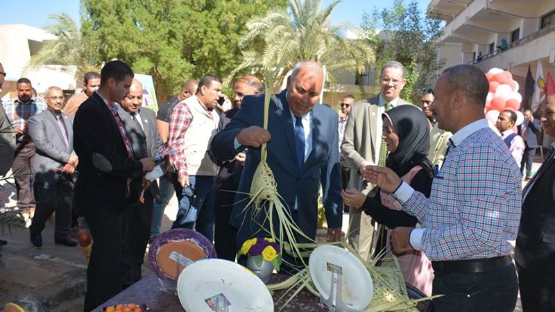 محافظ الوادي الجديد