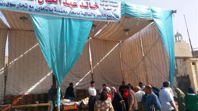 إزالة تعديات على أملاك الدولة في منطقة الاوتوستراد بمساحة 12 فدان