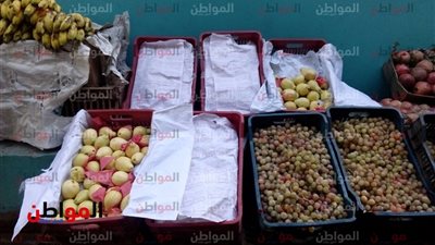 تعرف على أسعار الخضار والفاكهة بالغربية.. والبطاطس بـ6 جنيهات 