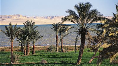 انخفاض في درجات الحرارة فى الفيوم اليوم الثلاثاء 30 أكتوبر 2018 