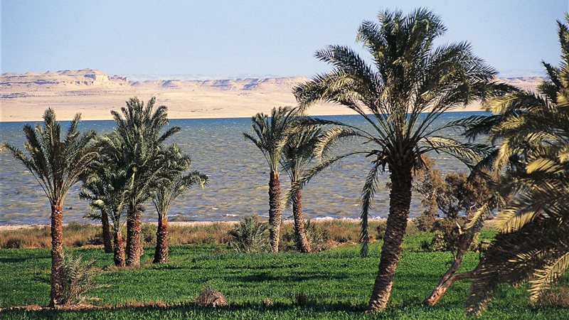 حالة الطقس فى الفيوم