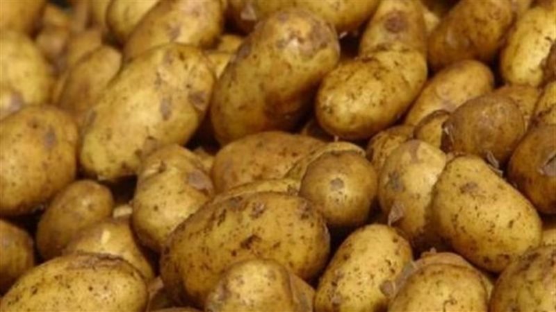 أسعار الخضار واللحوم