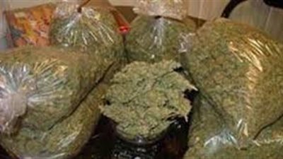 فيديو| ضبط 300 كيلو جرام من نبات البانجو داخل معدة ثقيلة لتهربيها من شرق قناة السويس