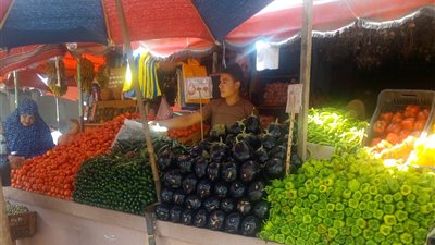 تراجع أسعار البطاطس في أسواق البحيرة اليوم 1 نوفمبر