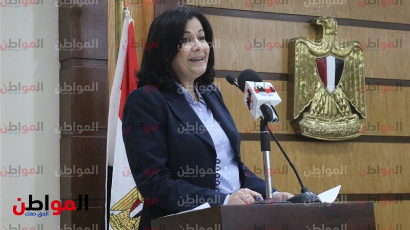 سمية الألفي ـ وزارة