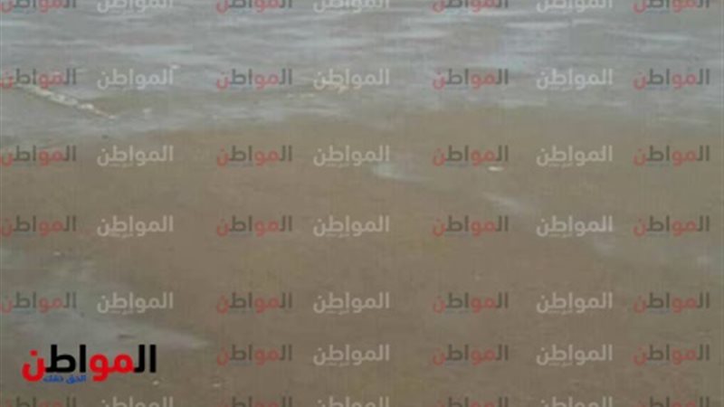 سيول مدن حلايب والشلاتين