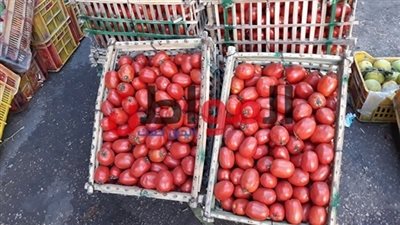انخفاض أسعار الخضار والفاكهة في الغربية.. والطماطم بـ10 جنيهات 