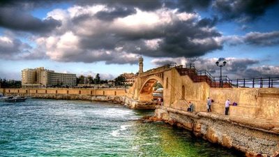 فيلم نقطة تلاقي في منتدى شباب العالم: هناك 50 إسكندرية غير المصرية .. فما هي ؟