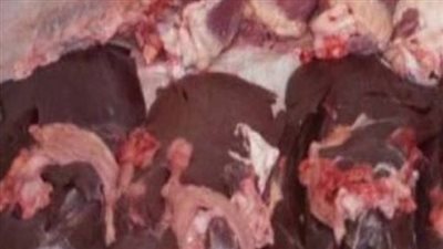 إعدام 700 كجم مواد غذائية فاسدة وتحرير 98 محضراً متنوعاً بالحامول