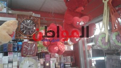 في عيد الحب المصري 2018.. تعرف على أسعار الدباديب ببني سويف